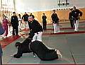 obraz 231.jpg