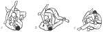 t16.gif (4993 bytes)