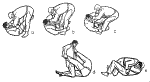 t18.gif (13524 bytes)