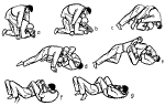 t19.gif (18589 bytes)