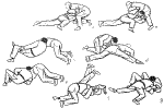 t20.gif (17888 bytes)