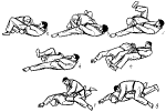 t22.gif (16404 bytes)