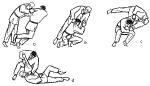 t28.gif (14495 bytes)