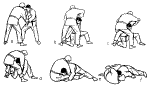 t5.gif (15427 bytes)