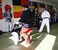 _mg_3047.jpg